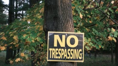 contact numbers for council