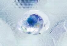 data compilation for analysis