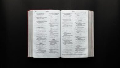 enterprise reference document numbers