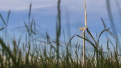 innovative technology for growth